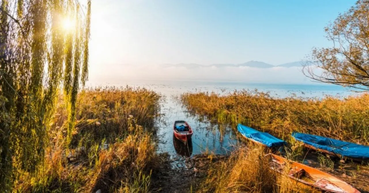 Sapanca Gölü kıyısında ağaçlar ve kayıklar